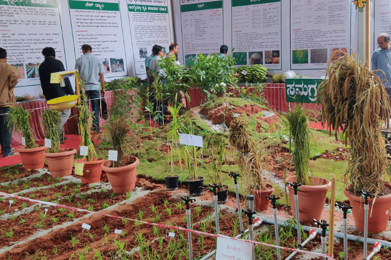 IIBS Bangalore Industrial Visit photo 17